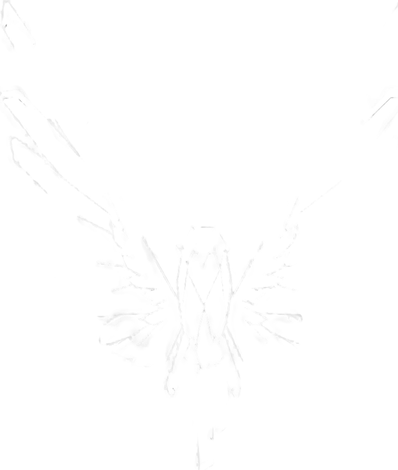 Logan Paul - Official Merchandise